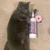 mustagepaun