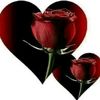 al_wanees