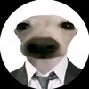 cocaidb123453