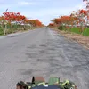dvdl_thanh62