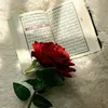 userhassan038