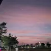 yew180203