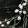 khaaixs_210