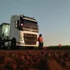 dentaoshow