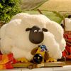 itshaundesheep