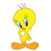 noelle_en_chansons