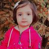 kanizshaikh09