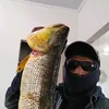 pulimpaulo