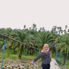 dekita401