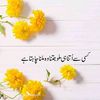 566bilal