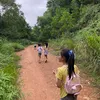 Hang Thỏ