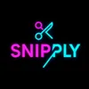 snip_ply