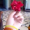 fazal.rahim301