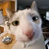realcharlieuk