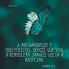 isaelsantos3998