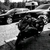 yanngsxr