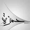 hamzabelkaid291