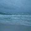 laurensacotte335