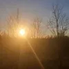 adek_19902