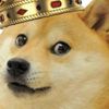 dogegod302