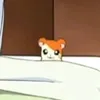 biscoito_molhado988