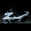 pcx_stel1