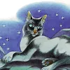 gatoviotas