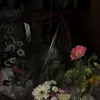 qqhog_0