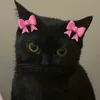 saraaes_