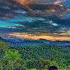 hii_raihan