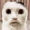 annetuibayhaha