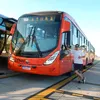 gustavo_vieira17