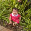 myphan8176