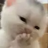 inhaleelectrocution