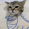 haloakumiaw