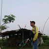 hariwibowo179
