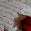 salahfalah179