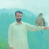 mianjamil5588