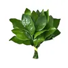yn.nguyn5694