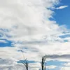 _h.tzhien.13_
