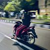 lisin_09