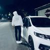 alvnartps_