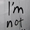 nnvr_7