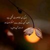 10chhaiderali