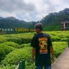 ferdyfdk03
