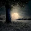 _hoangduccan