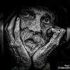 alsayed384