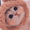taqiyyddn
