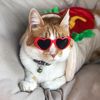 elgatopanqueque