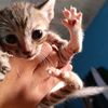 callllluu